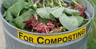 Compost