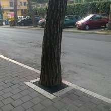 pini e cemento a pescara