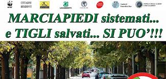 Francavilla tigli viale Nettuno