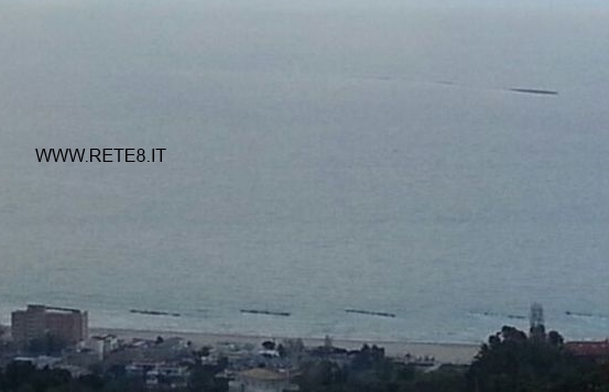 macchia roseto RITAGLIO con logo