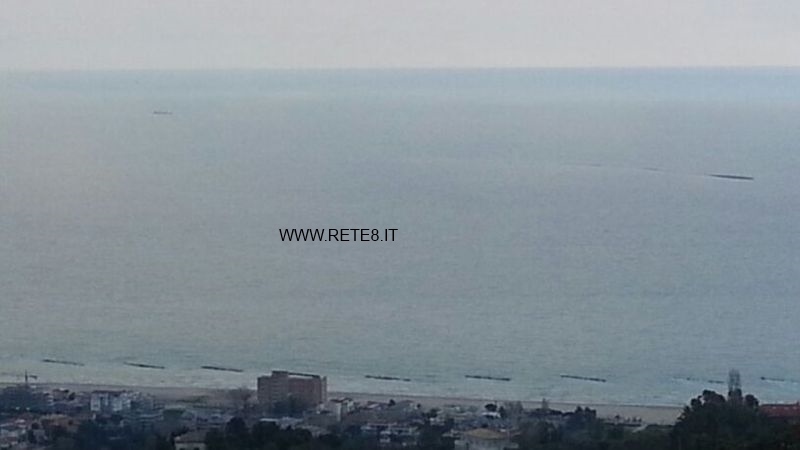 macchia roseto con logo