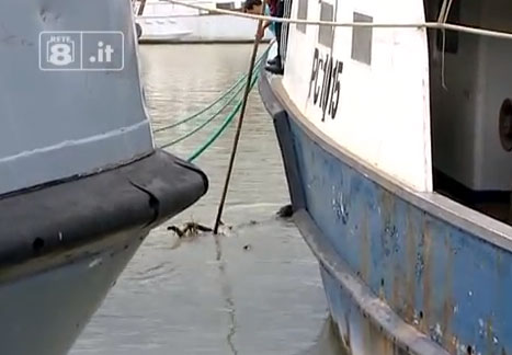 Pescara-porto-canale