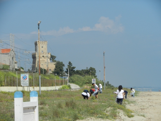 pulizia spiagge 2