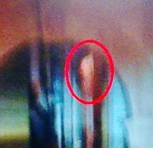 foto collelongo copia