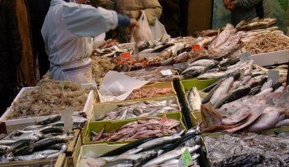 pesce mercato ittico