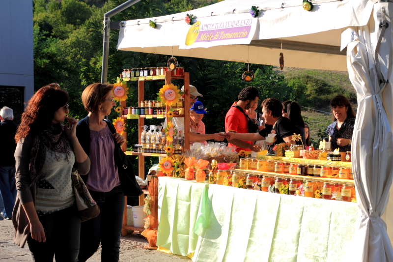 Reginadimiele201310 2