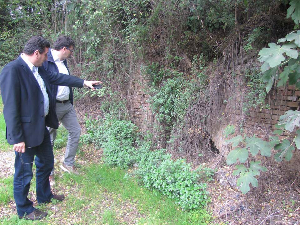 1378569 10202189899977849 515362441 n