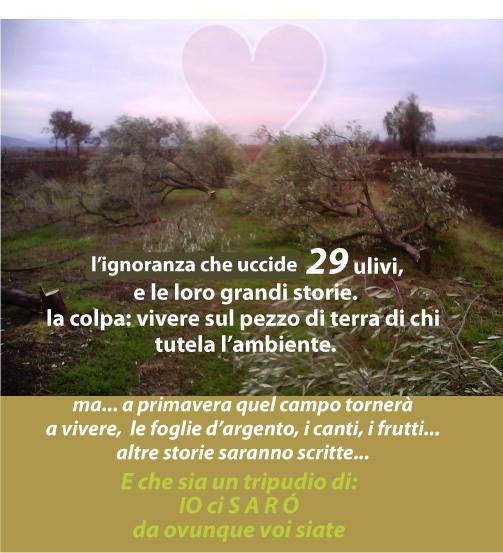 1477490 647630531945971 807456779 n