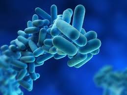 legionella