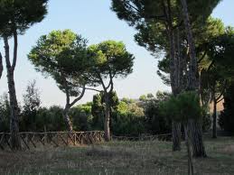 Pineto Parco Filiani