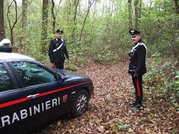 Bosco Carabinieri