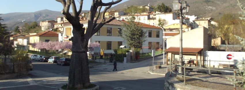 ailanto molina aterno