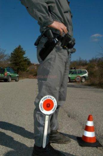 corpo forestale stato