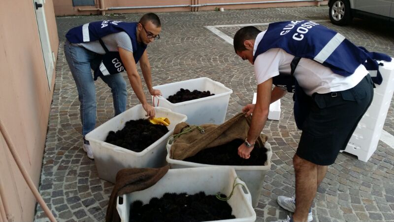 ricci di mare sequestrati