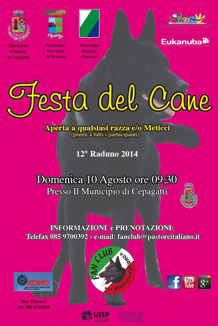festadelcane
