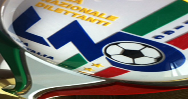 SERIE D LOGO