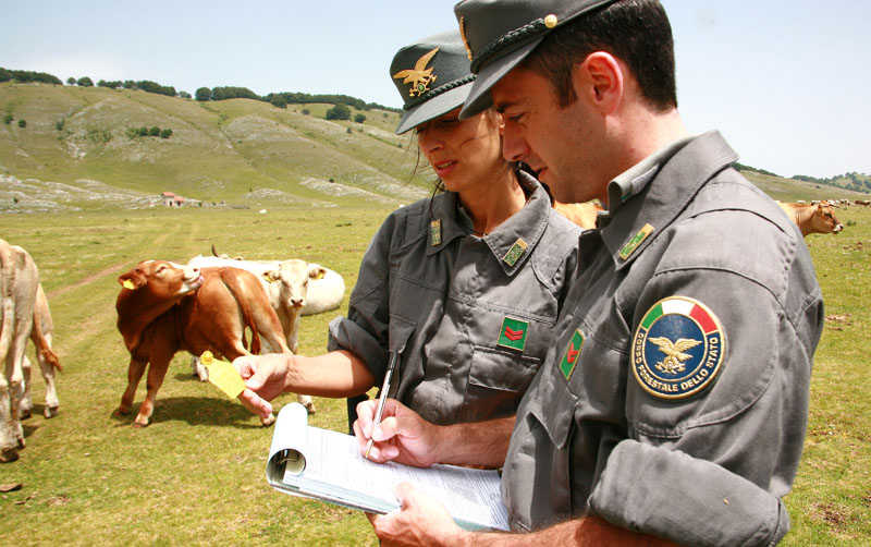 forestale controlli bovini