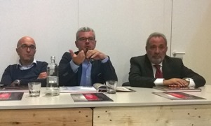 cavallo giavedoni verna