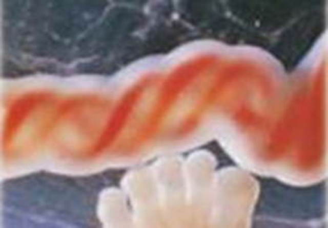 cellule-staminali-da-cordone-ombelicale