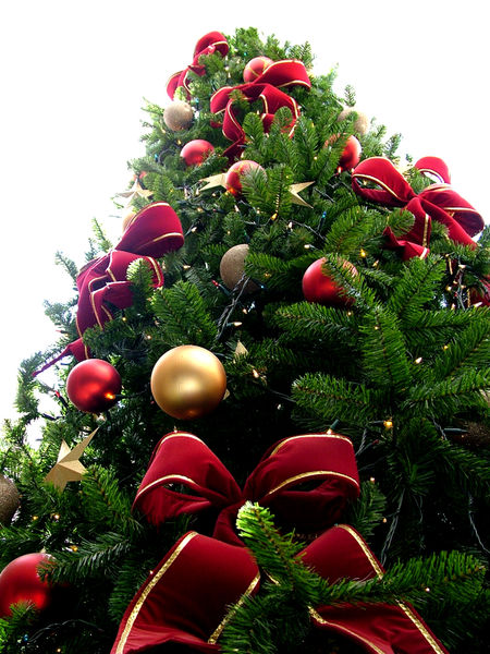 Albero Natale 02