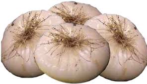 Cipolla Bianca di Fara