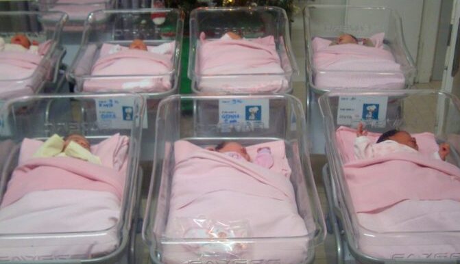 bebenellaculla copia