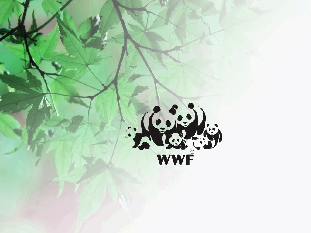wwf-panda