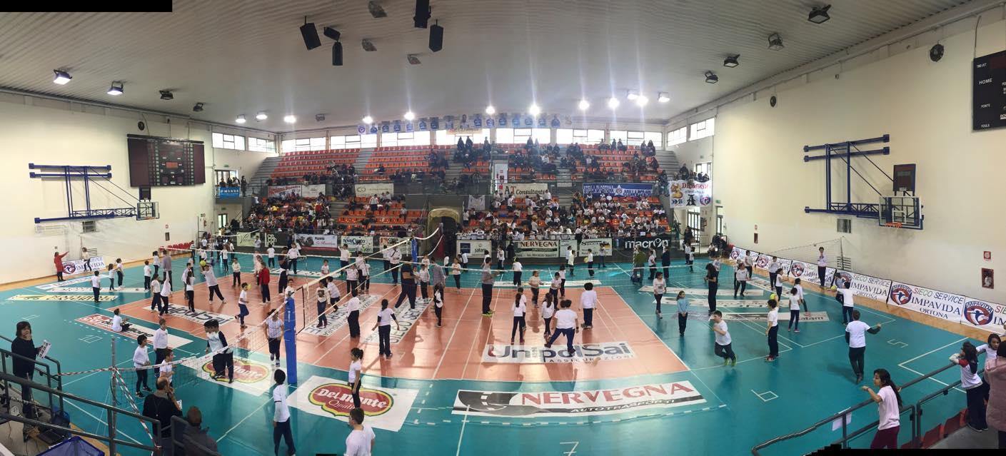 Volley scuola