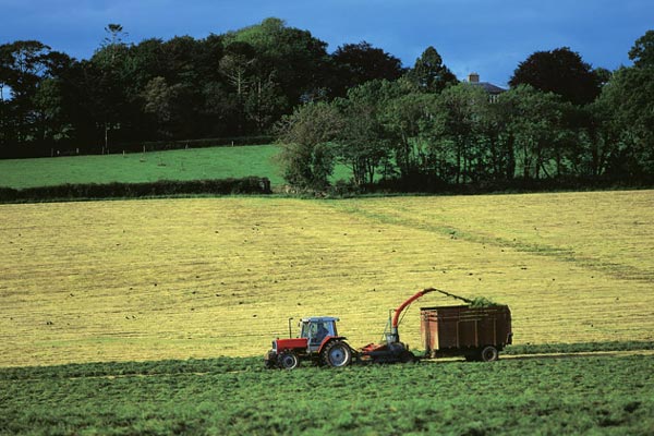 agricoltura-imu-agricola