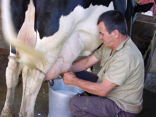 latte mungitura mano-george-donnelly