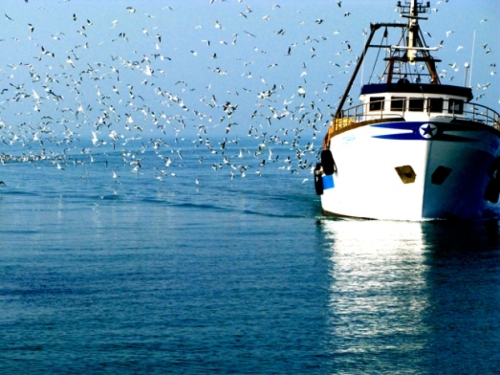 pescherecciosquestrato