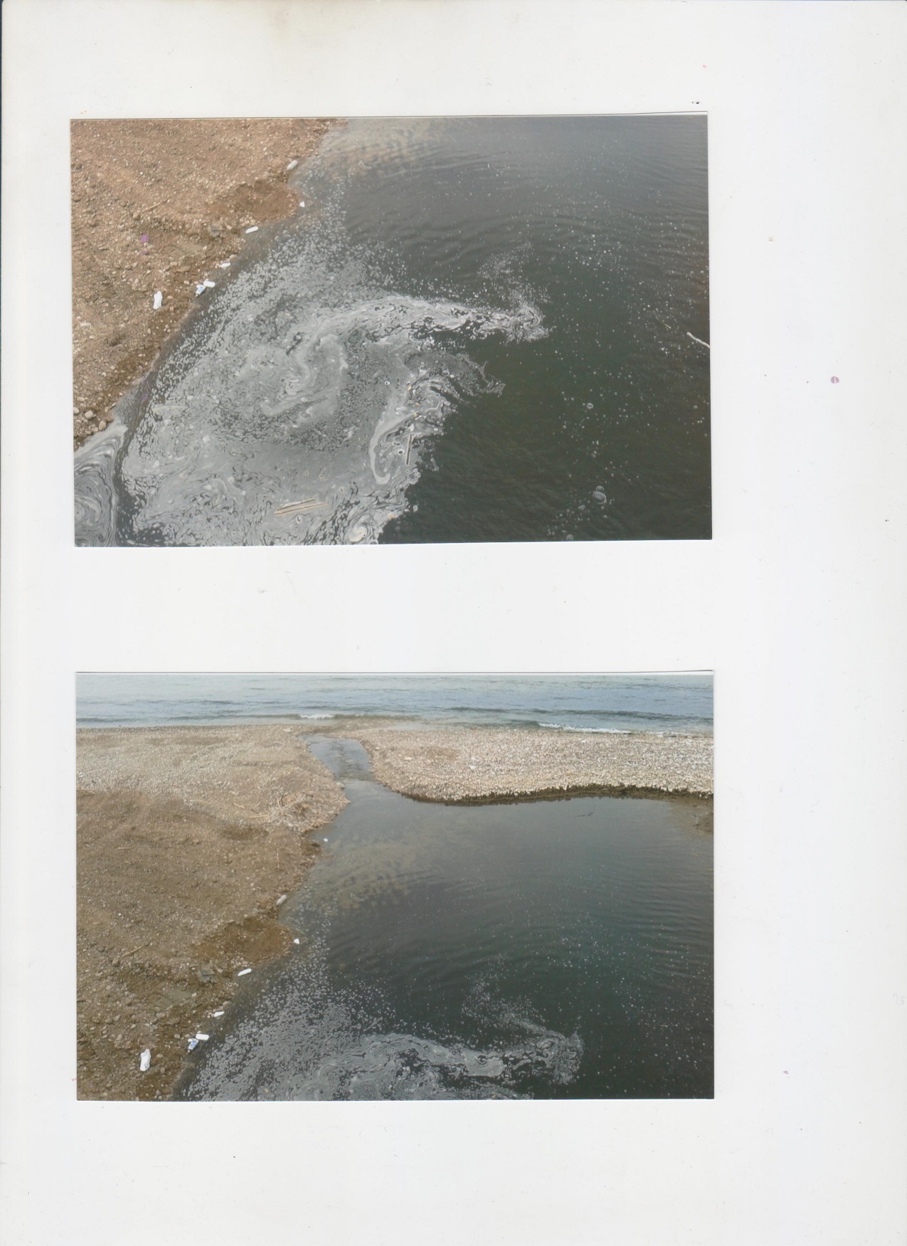 Foce Torrente Acque chiare 001