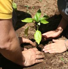 Personal trainer dellorto