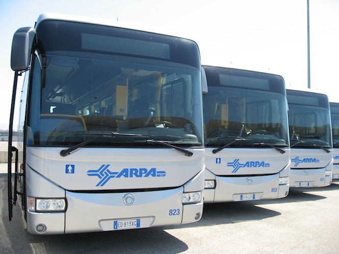 bus arpa