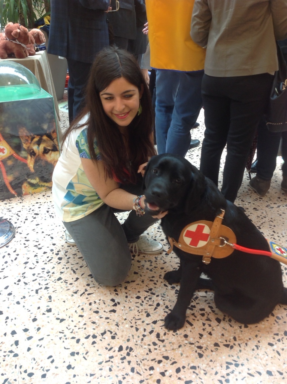 Cane guida per chiechi