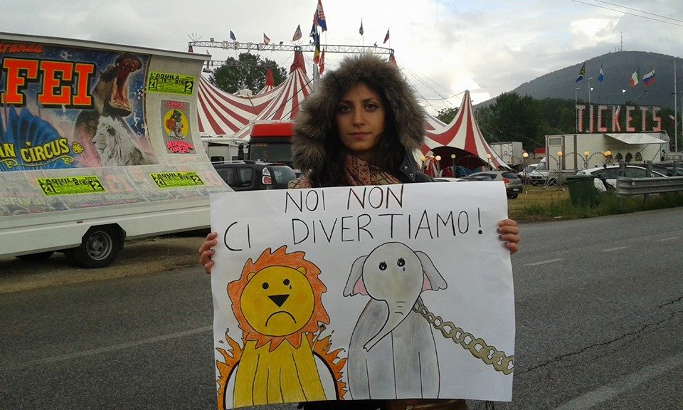 animalisti circo