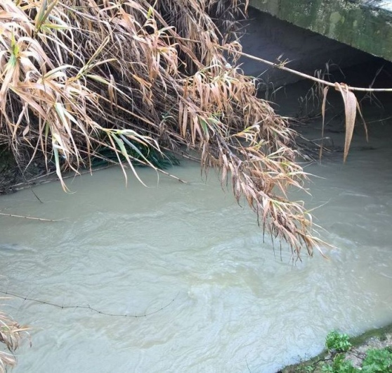 fosso grande esondato