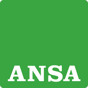 ansa1