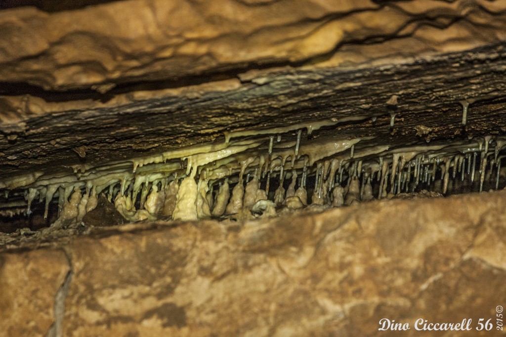 Grotta-della-lupa-di-Riparossa