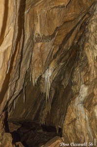 Grotta-della-lupa-di-Riparossa