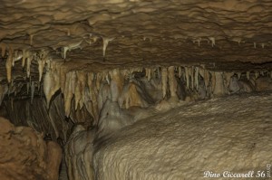 Grotta-della-lupa-di-Riparossa
