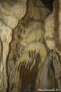 Grotta-della-lupa-di-Riparossa