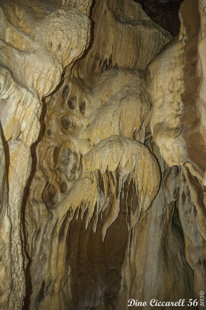 Grotta-della-lupa-di-Riparossa