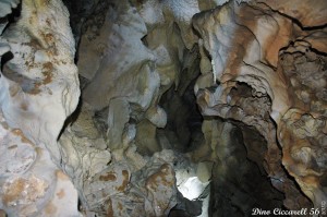 Grotta-della-lupa-di-Riparossa