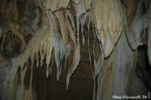 Grotta-della-lupa-di-Riparossa