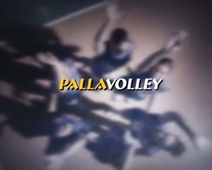 pallavolley