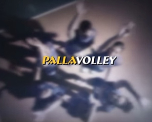 pallavolley