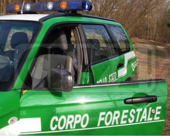 forestale-macellazione1