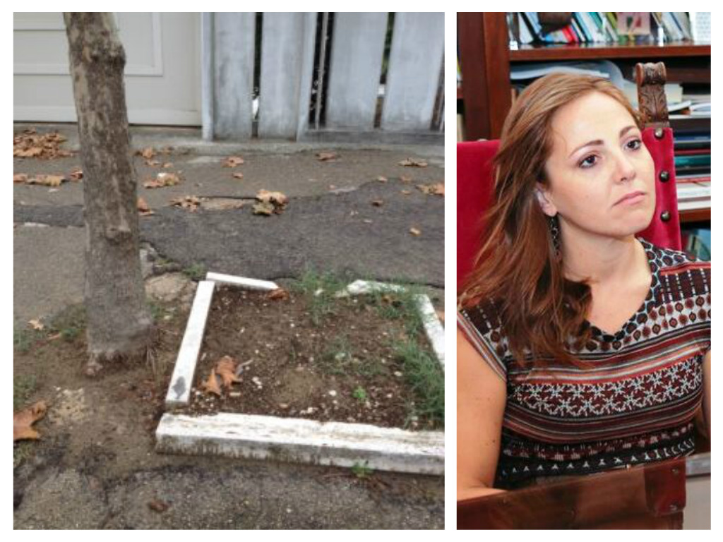 albero-piantato-male