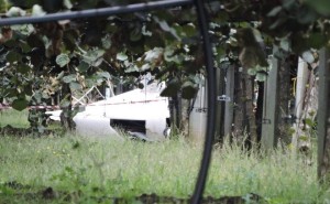 elicottero precipitato